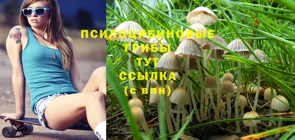 тгк Абинск