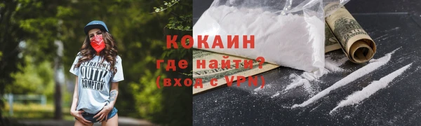 соль ск Абаза
