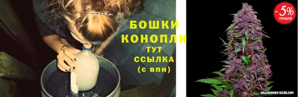 соль ск Абаза