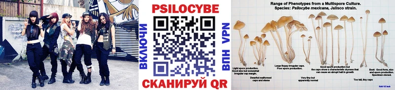 KRAKEN как зайти Тетюши Псилоцибиновые грибы Magic Shrooms где найти наркотики